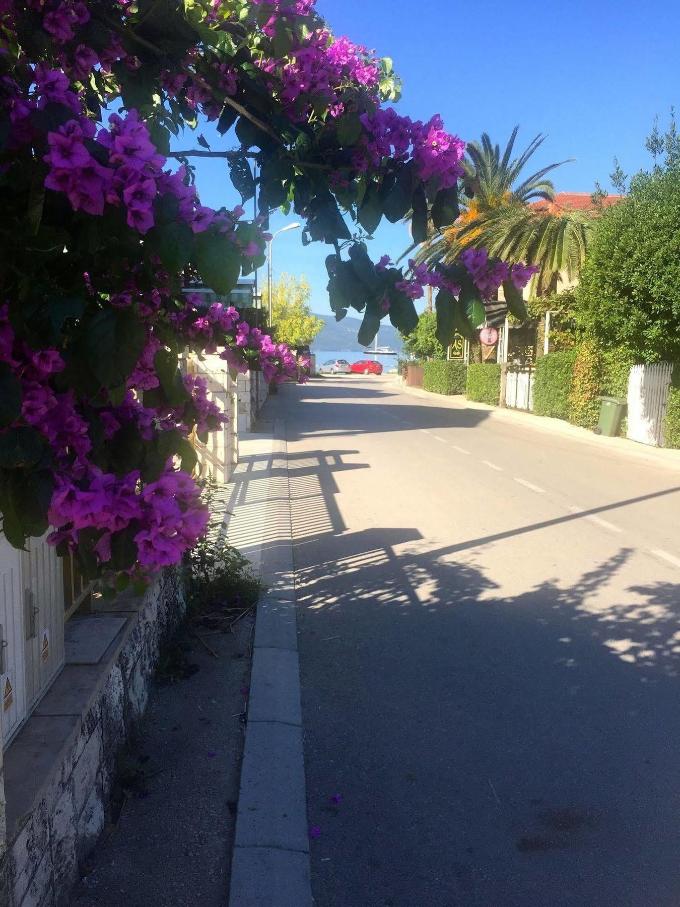 Hotel Villa Royal Tivat Exterior foto